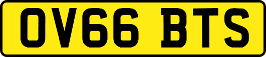 OV66BTS