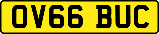 OV66BUC