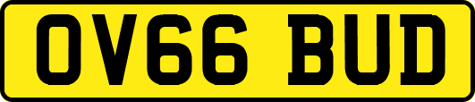OV66BUD