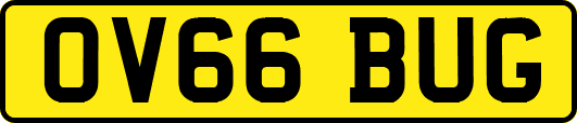 OV66BUG