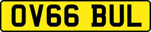 OV66BUL