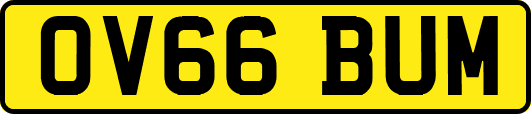 OV66BUM