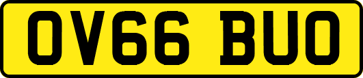 OV66BUO