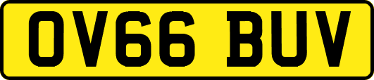 OV66BUV