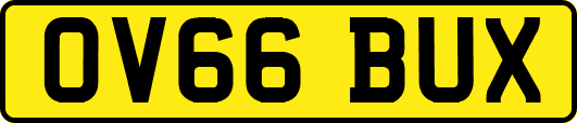 OV66BUX