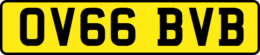OV66BVB