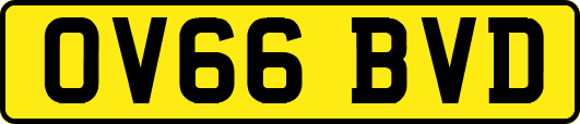 OV66BVD
