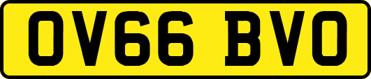 OV66BVO