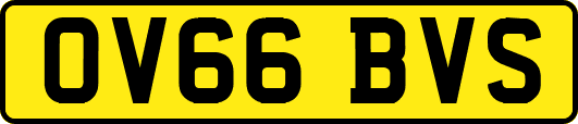 OV66BVS