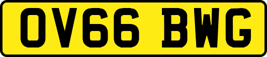 OV66BWG