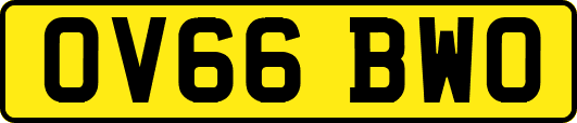 OV66BWO