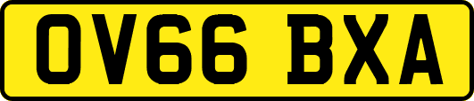 OV66BXA