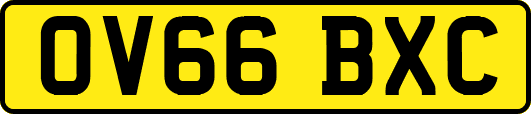 OV66BXC