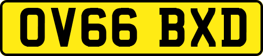 OV66BXD