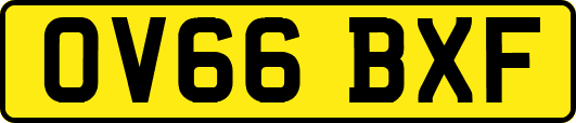 OV66BXF
