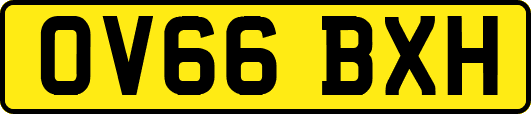 OV66BXH