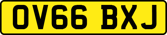 OV66BXJ