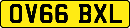 OV66BXL