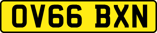OV66BXN