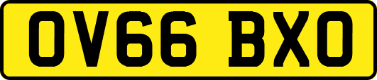 OV66BXO