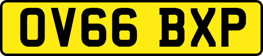 OV66BXP