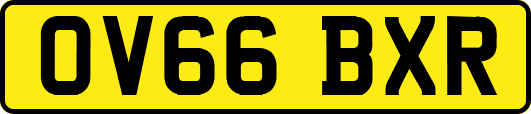 OV66BXR