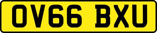 OV66BXU
