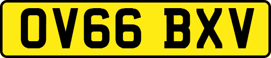 OV66BXV