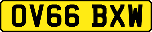 OV66BXW