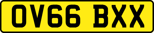 OV66BXX