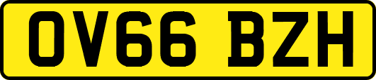 OV66BZH