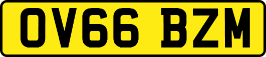 OV66BZM