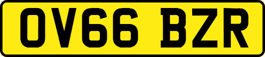 OV66BZR