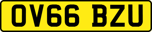 OV66BZU