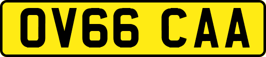 OV66CAA