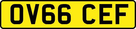 OV66CEF