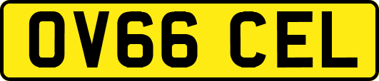 OV66CEL