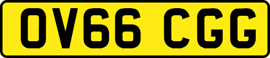 OV66CGG