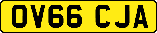 OV66CJA