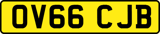 OV66CJB