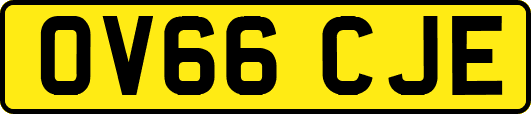 OV66CJE