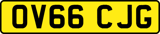 OV66CJG