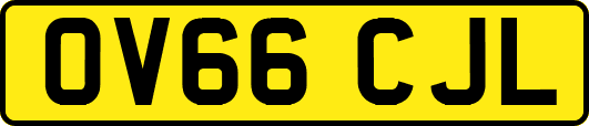 OV66CJL