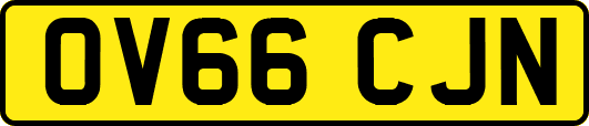OV66CJN