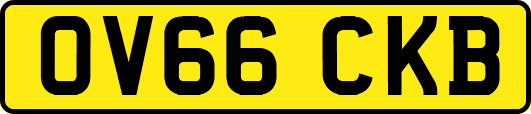 OV66CKB
