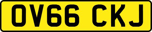 OV66CKJ