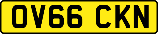 OV66CKN