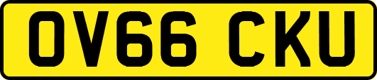 OV66CKU