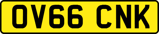 OV66CNK