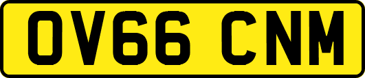 OV66CNM